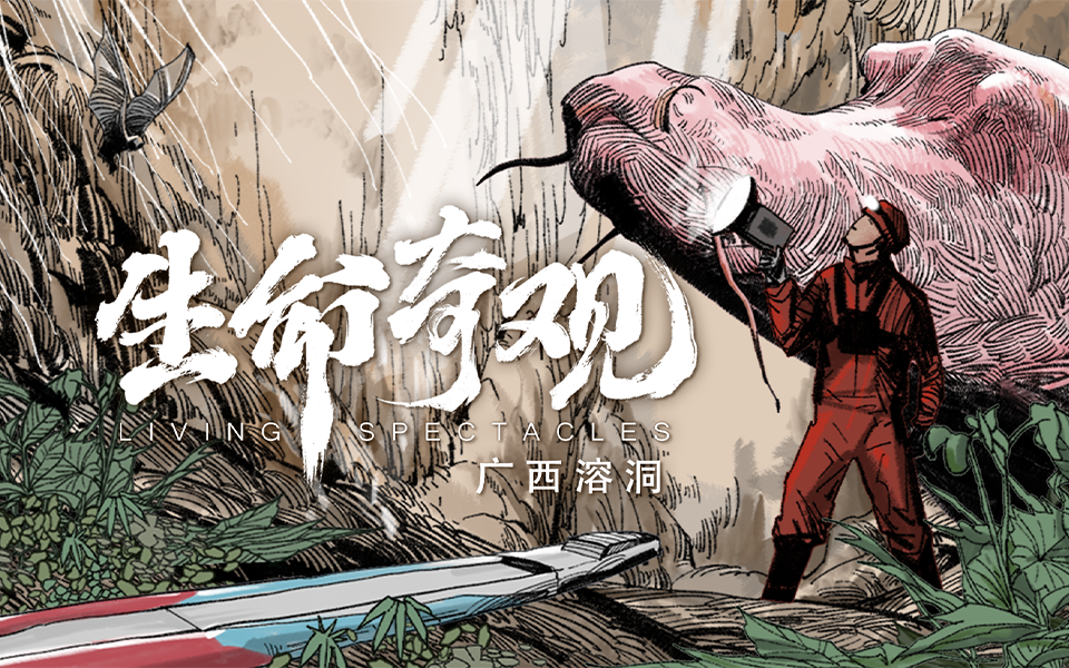 《生命奇观》第1集 广西溶洞