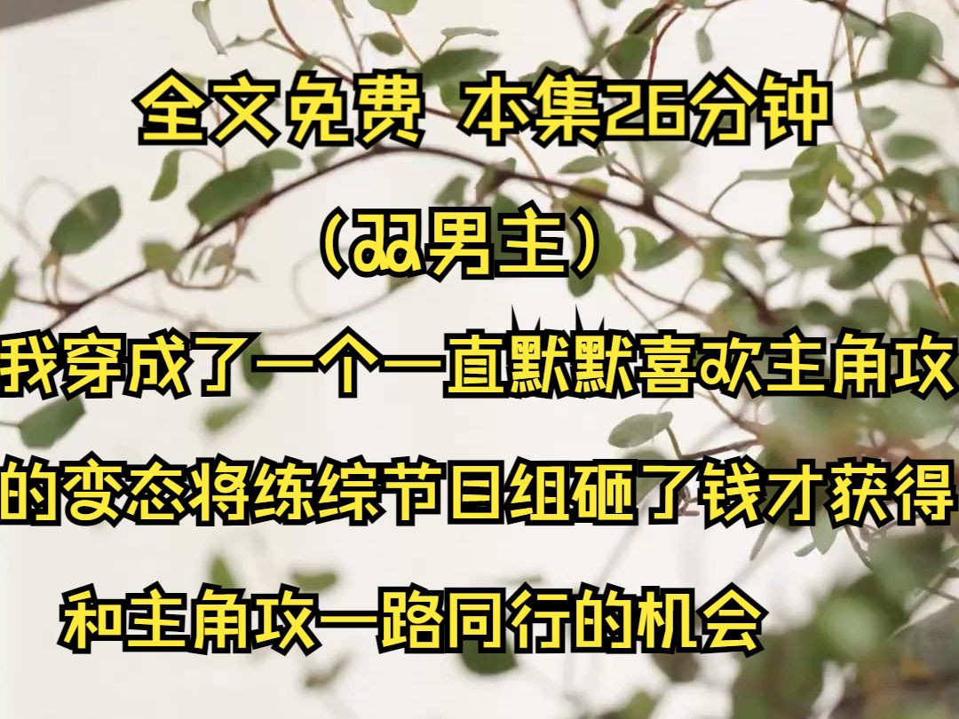 (双男主系列文)我穿成了一个一直默默喜欢主角攻的变态.因为一直在家太无聊,将练综节目组砸了钱才获得和主角攻一路同行的机会.哔哩哔哩bilibili