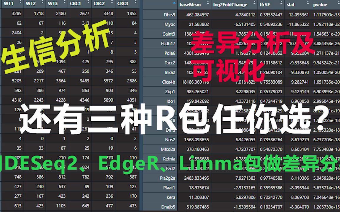 【R语言生信分析 】GEO平台 差异分析及可视化(1)哔哩哔哩bilibili