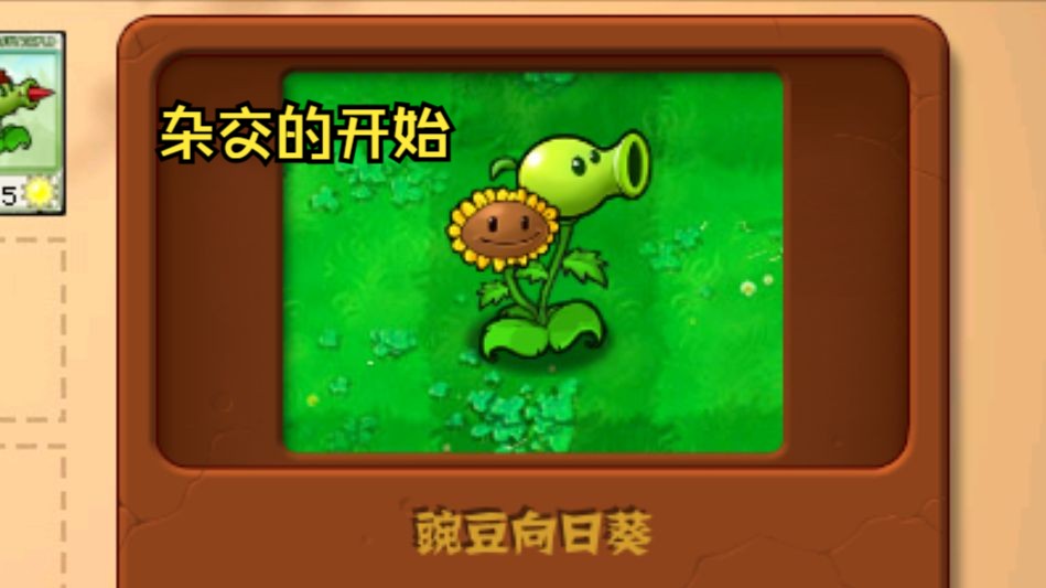 (1)豌豆向日葵,那一晚豌豆和向日葵都喝多了 pvz杂交版2.0.88困难无车冒险模式PVZ游戏实况