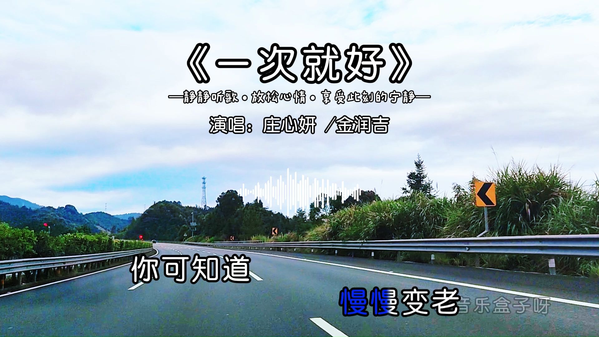 【单循推荐】《一次就好》庄心妍/金润吉完整版无损音质
