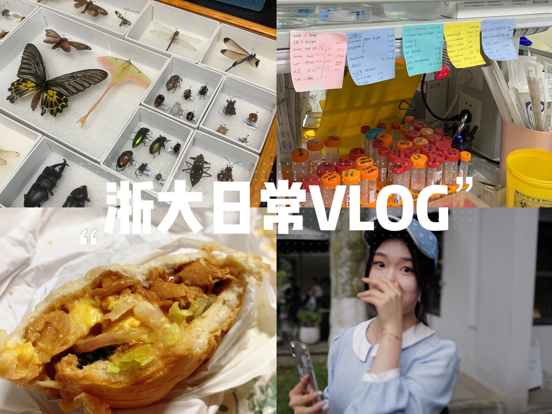 vlog|在浙大读工科能有多好玩?哔哩哔哩bilibili