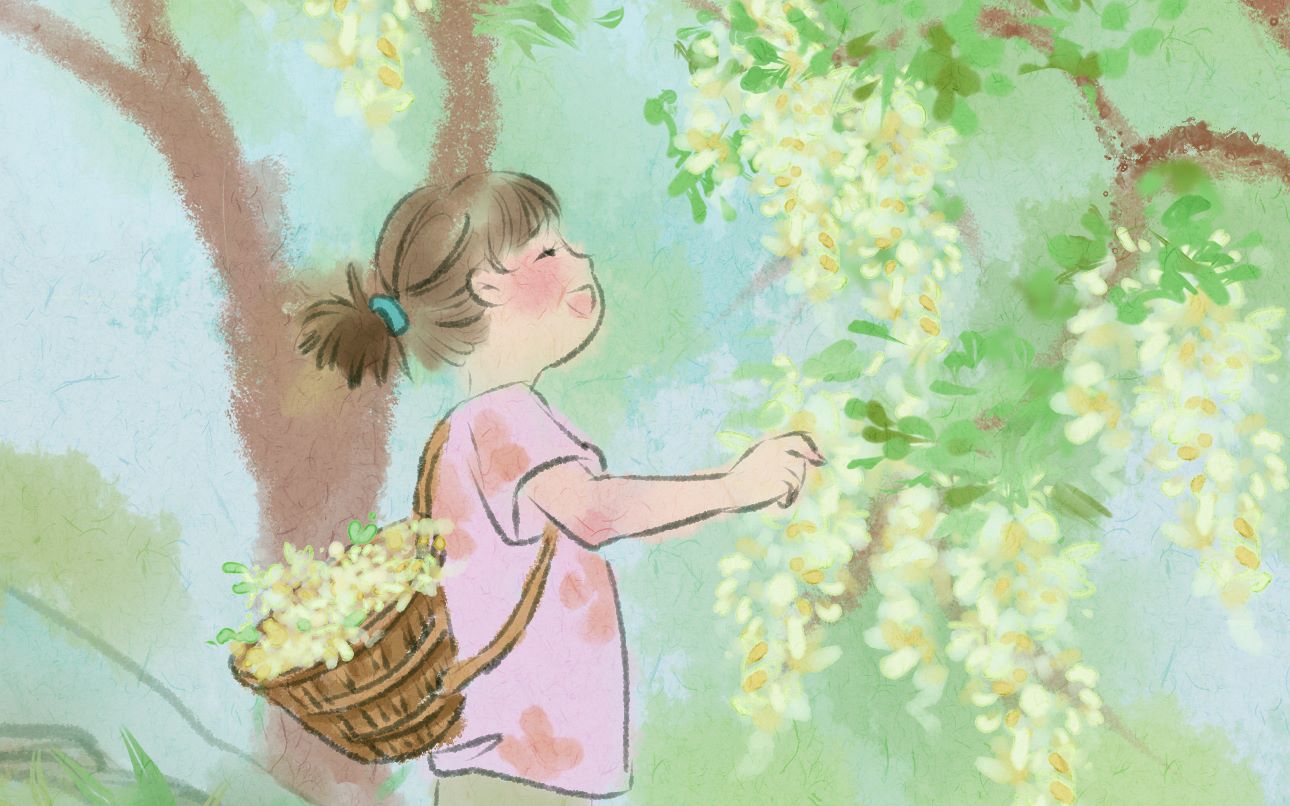 活动  立夏摘槐花