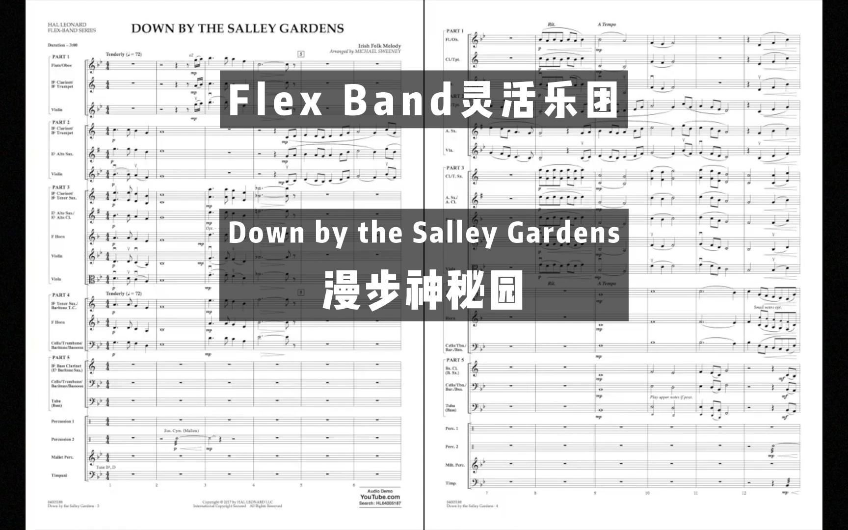 [图]【1级】Down by the Salley Gardens 漫步神秘园 By Michael Sweeney 2017