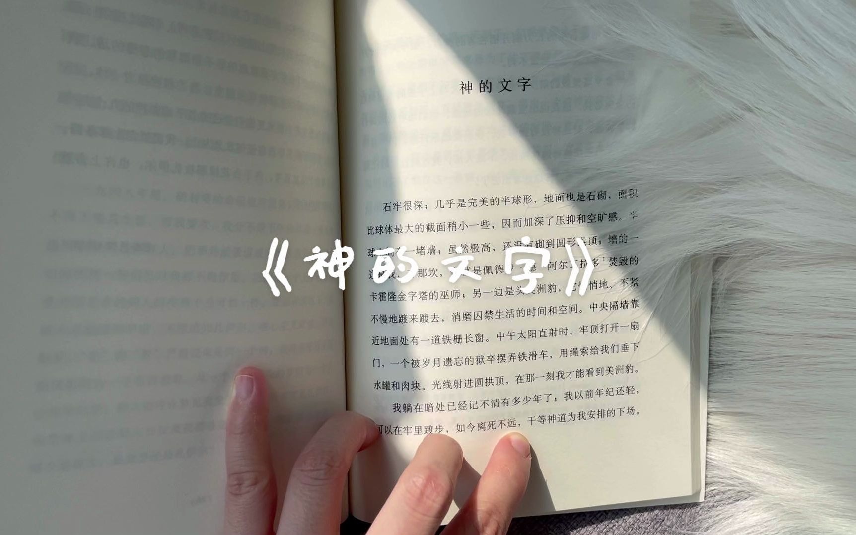 《神的文字》,博尔赫斯【Shelia's Booklog01】哔哩哔哩bilibili