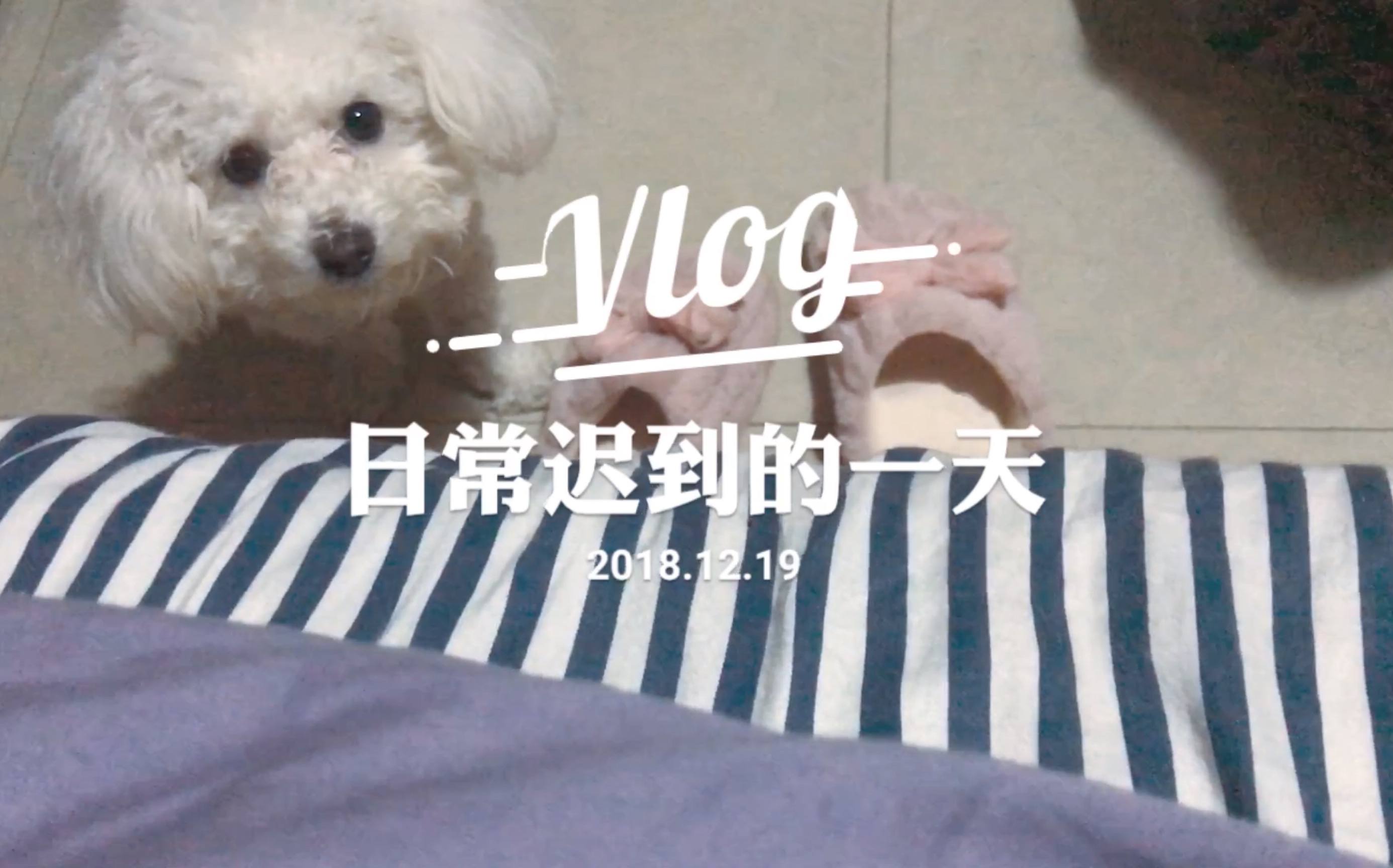 [图]日常Vlog，记录生活点点滴滴。