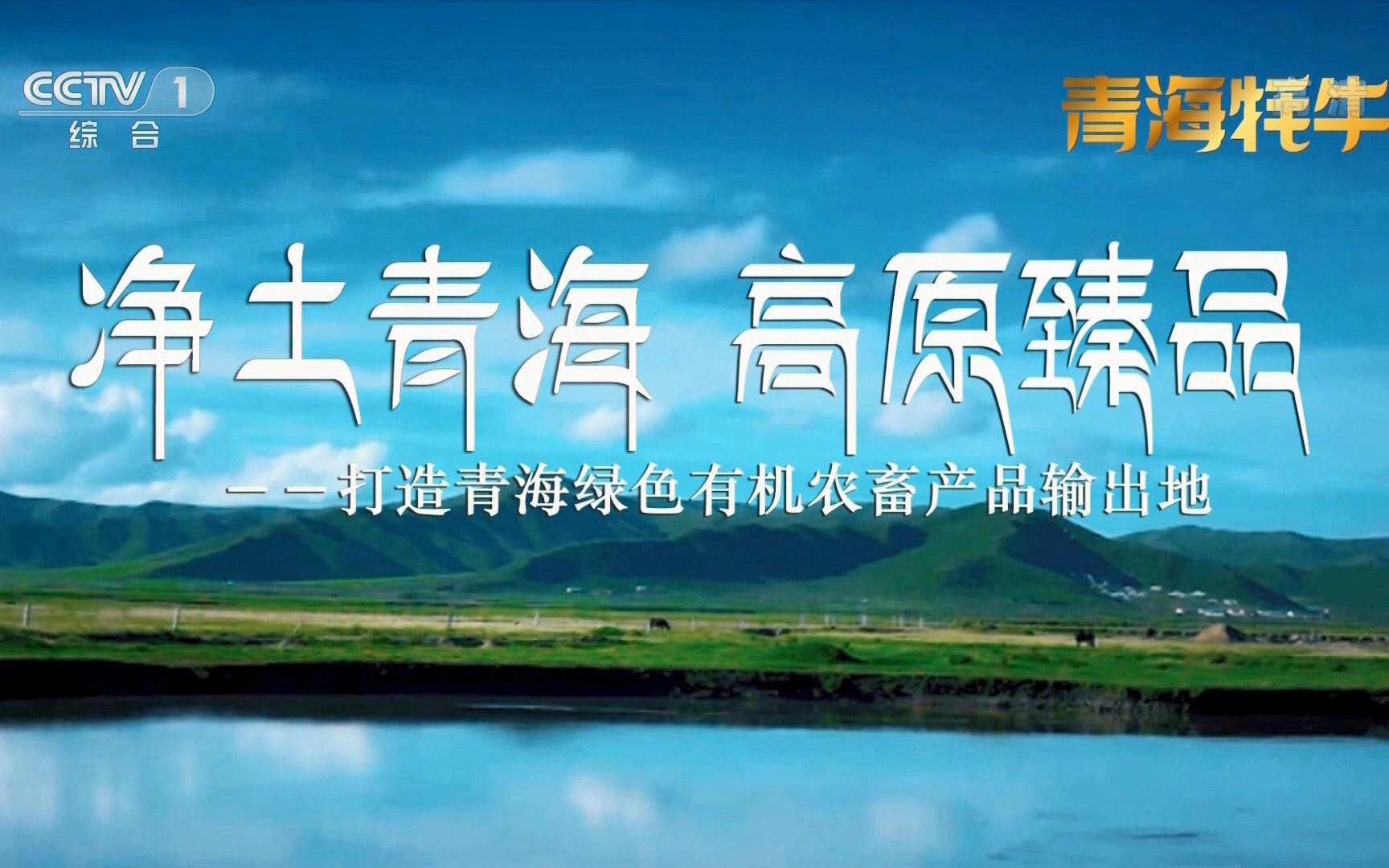 cctv1广告:净土青海 高原臻品·青海牦牛96_哔哩哔哩_bilibili