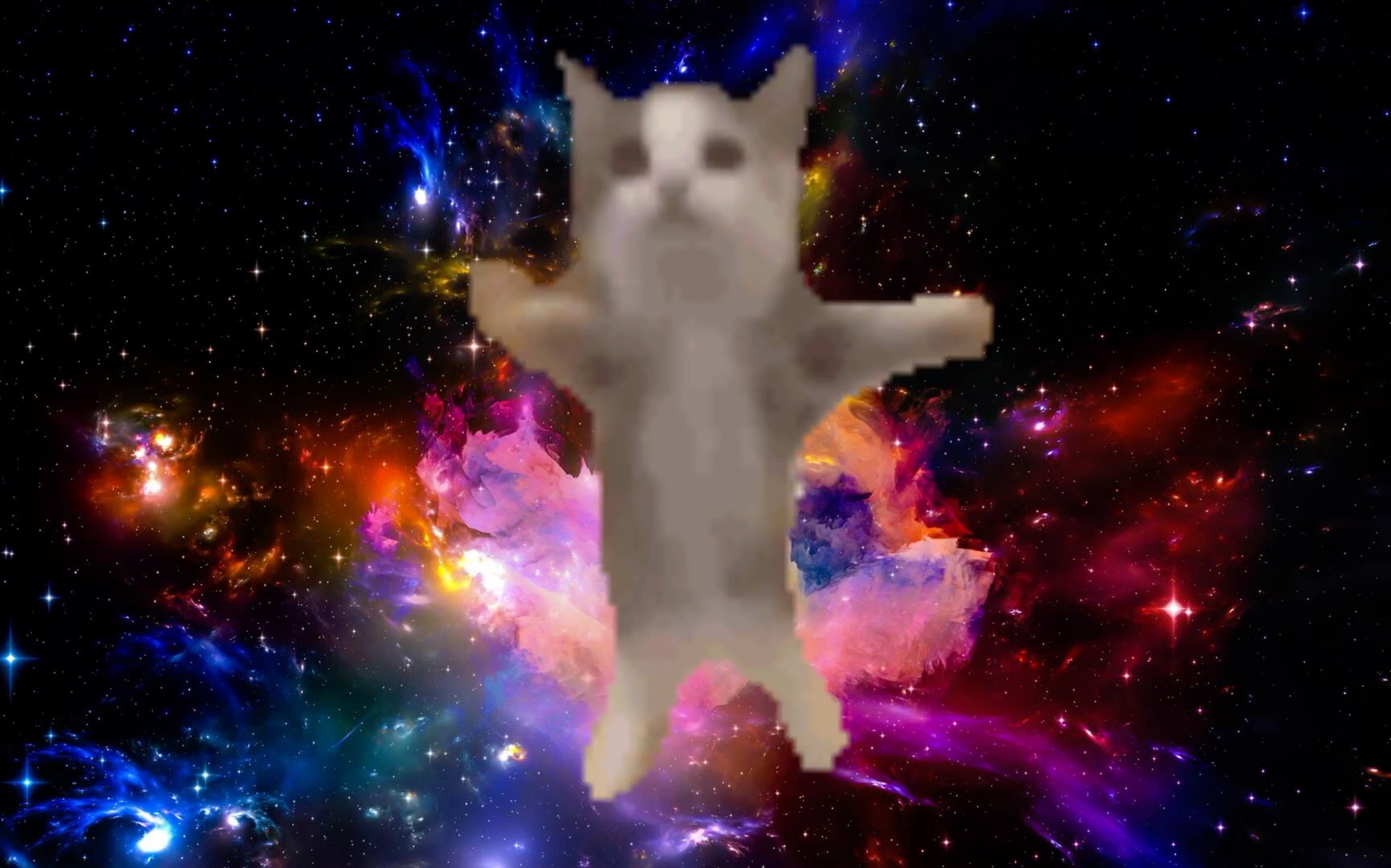 happy猫击杀oiiaiooooiai猫结算动画