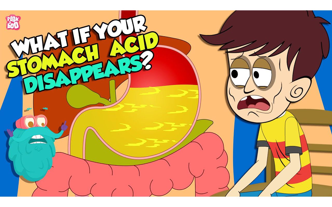 what if your stomach acid disappeared? | gastric acid | the dr b