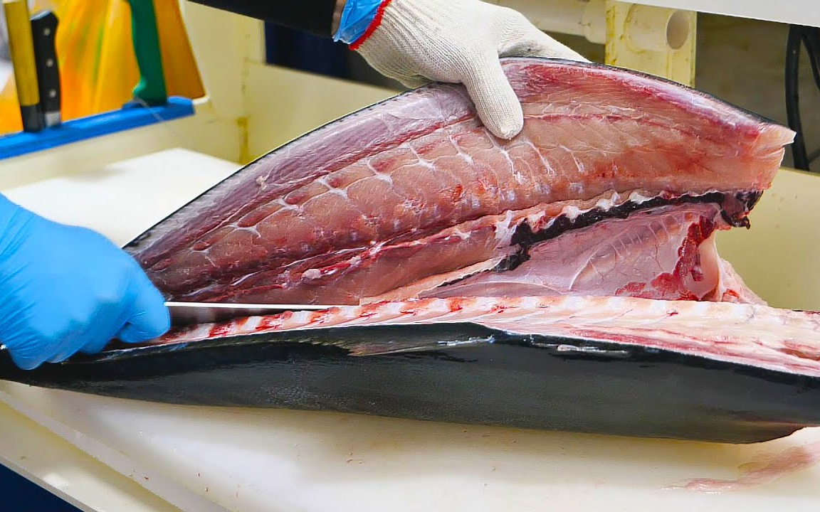 现杀的琥珀鱼红鲷生鱼片新鲜梭鱼生鱼片wowfood