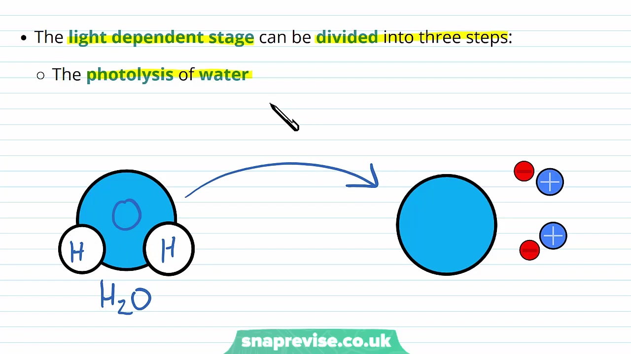 [图]67.Photosynthesis_ The Light Dependent Stage _ A-level Biology _ OCR, AQA, Edexc