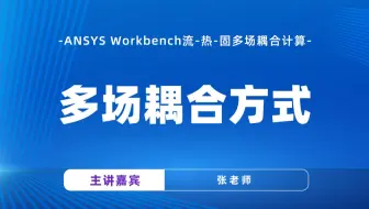 多场耦合方式