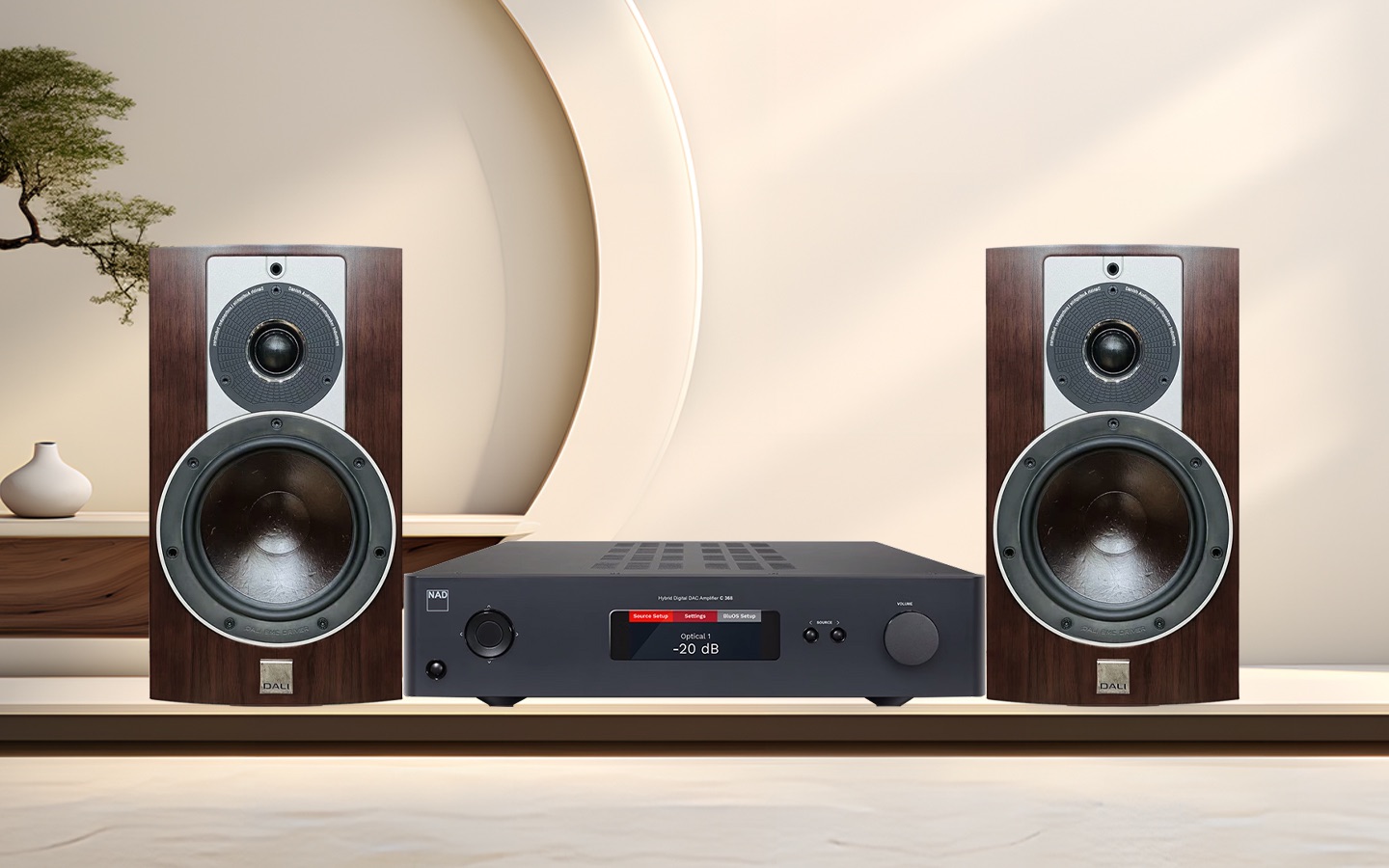 达尼乐爵2号搭配nad功放c388现场录音#达尼乐爵2号#达尼音响 #nad功放