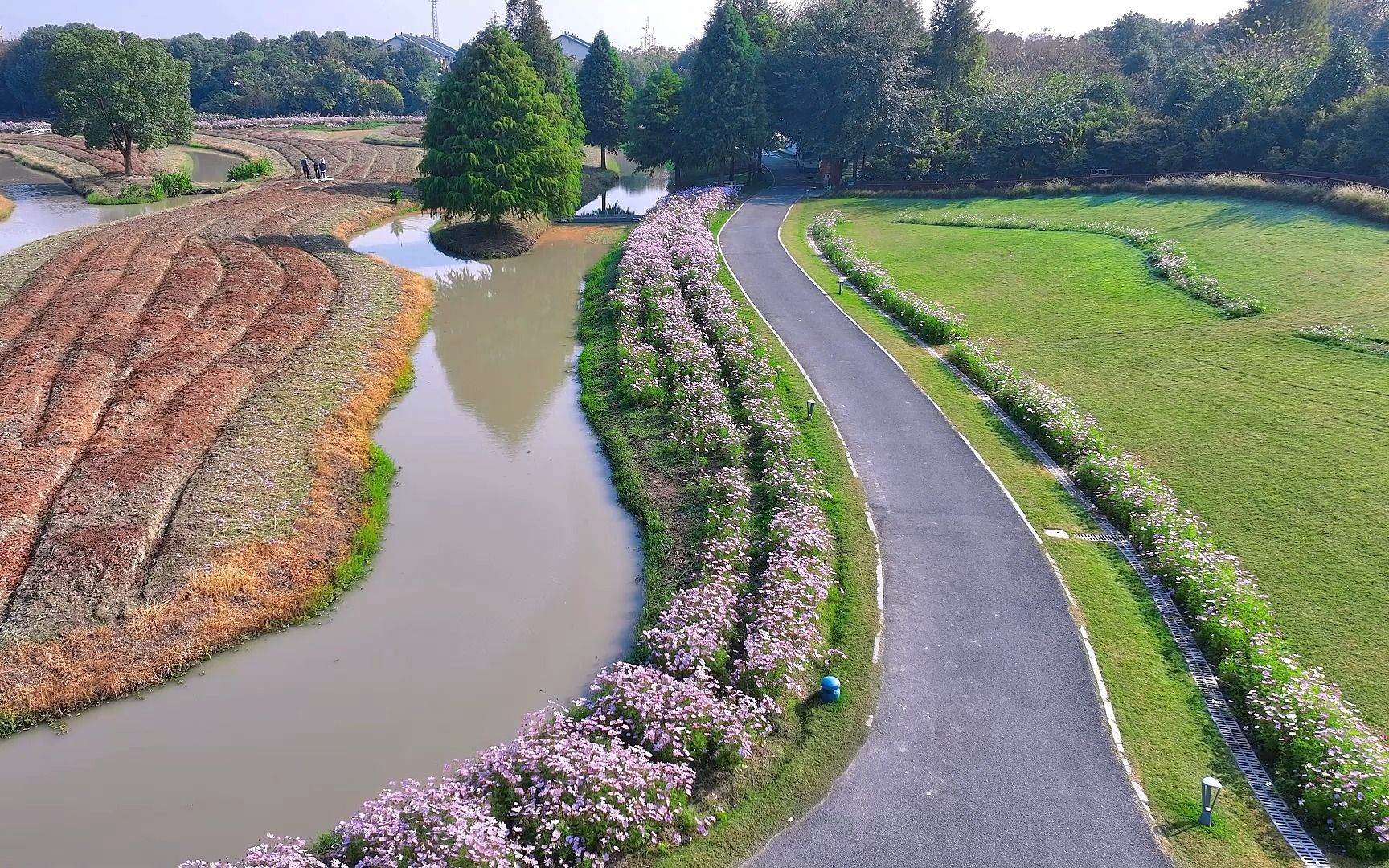 [图]魔都“花开海上”生态园