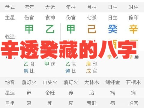 辛透癸藏的八字!哔哩哔哩bilibili