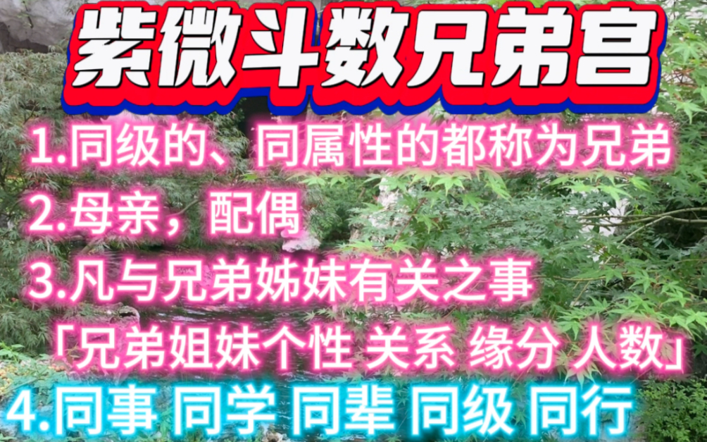 紫微斗数兄弟宫,同级的、同属性的都称为兄弟,母亲,配偶凡与兄弟姊妹有关之事{兄弟姐妹个性,关系,缘分,人数}等同行 同事同学同辈,同级等哔哩...