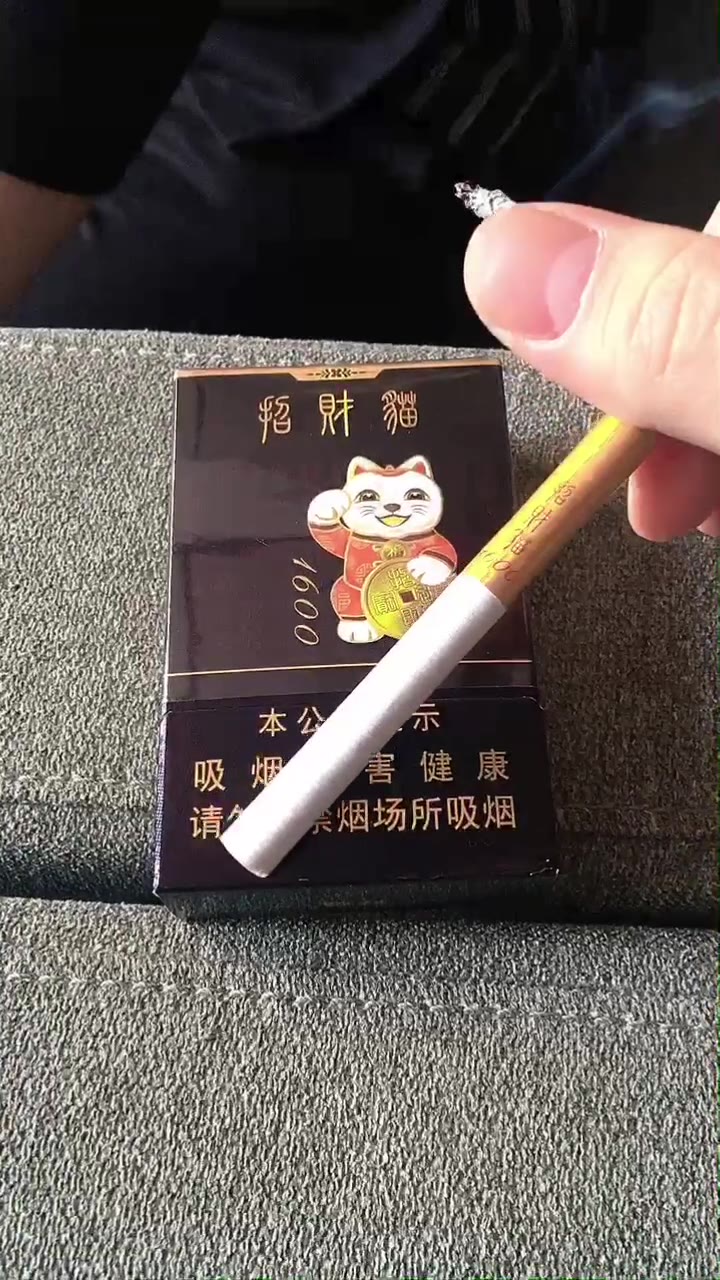 招财猫1600图片