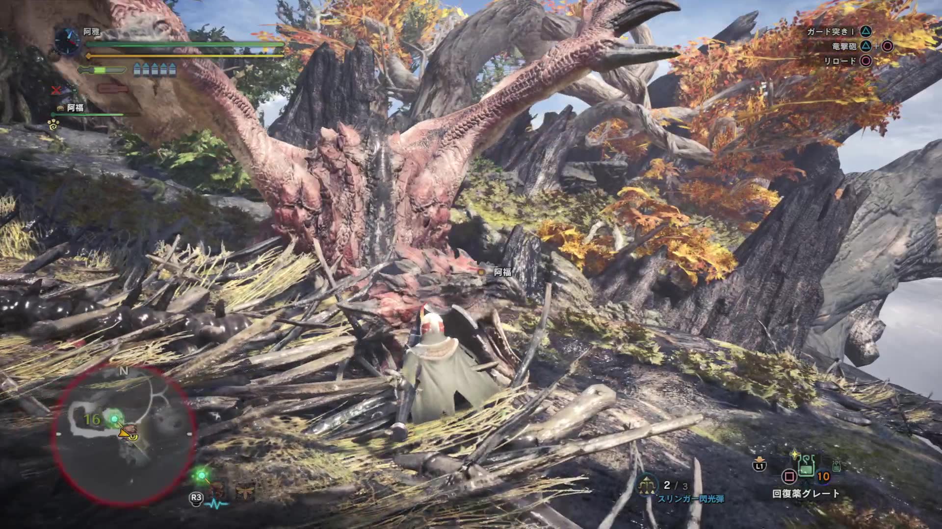 怪物猎人世界 新猎人向 单人铳枪 雄火龙 monster hunter world beta