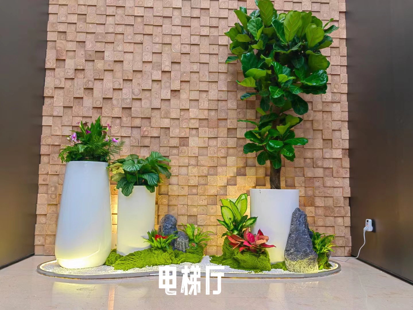 写字楼办公室绿植租赁怎么摆放,快来抄作业#室内植物租赁#花卉租摆