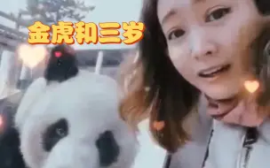 Скачать видео: （考古）金虎和三岁的快乐时光