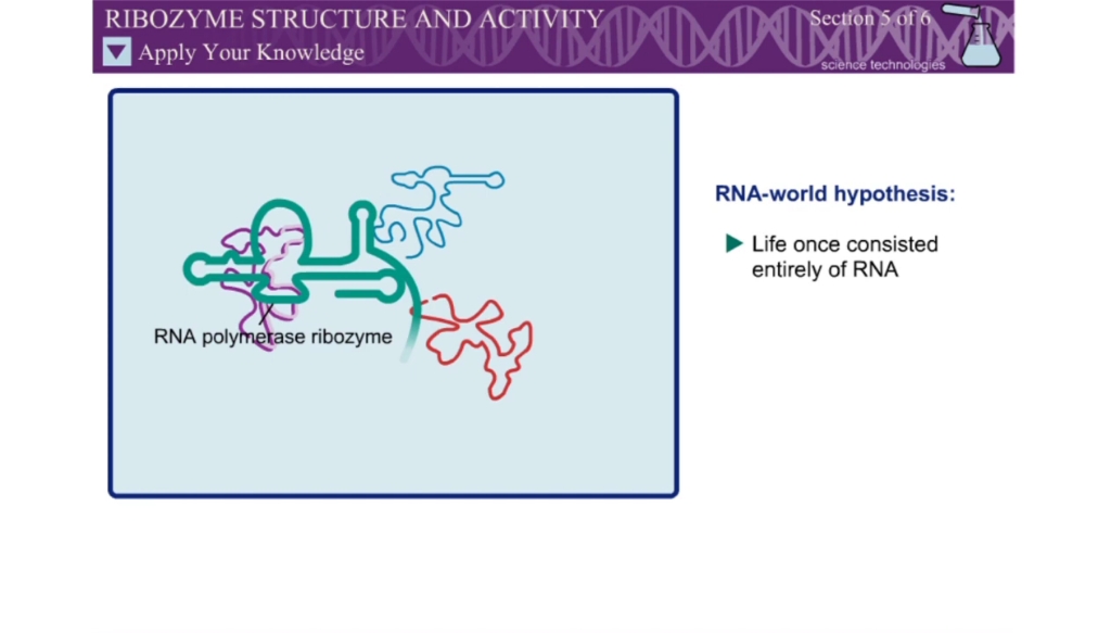 具有酶活性的RNA——核酶(Ribozyme)的结构和活性哔哩哔哩bilibili