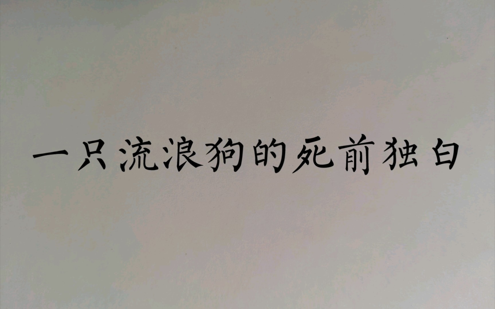 我写了一首小诗《一只流浪狗的死前独白》哔哩哔哩bilibili