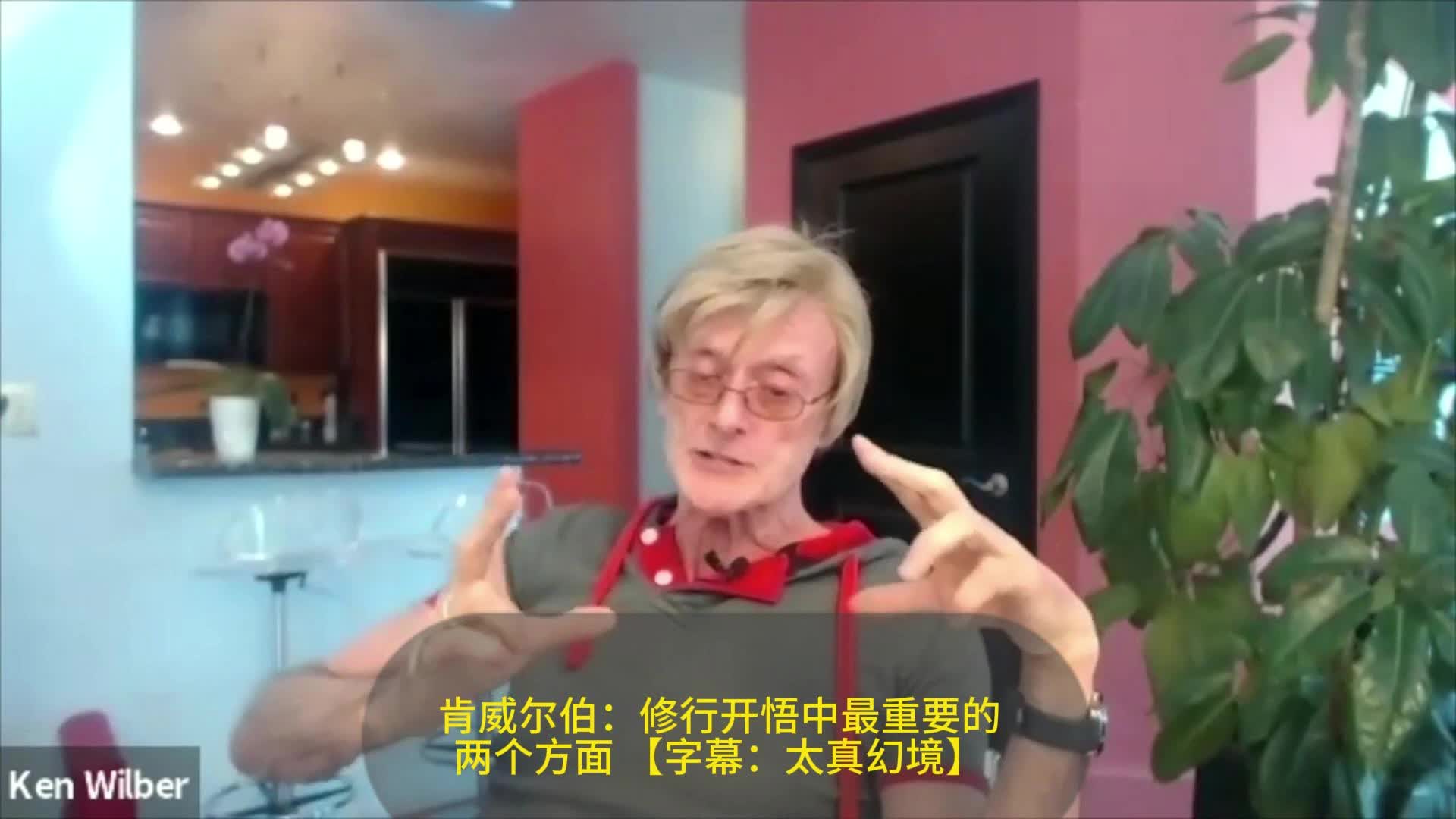 肯威尔伯谈如何加速成长, 冥想与理性能否带来突破性的意识提升?