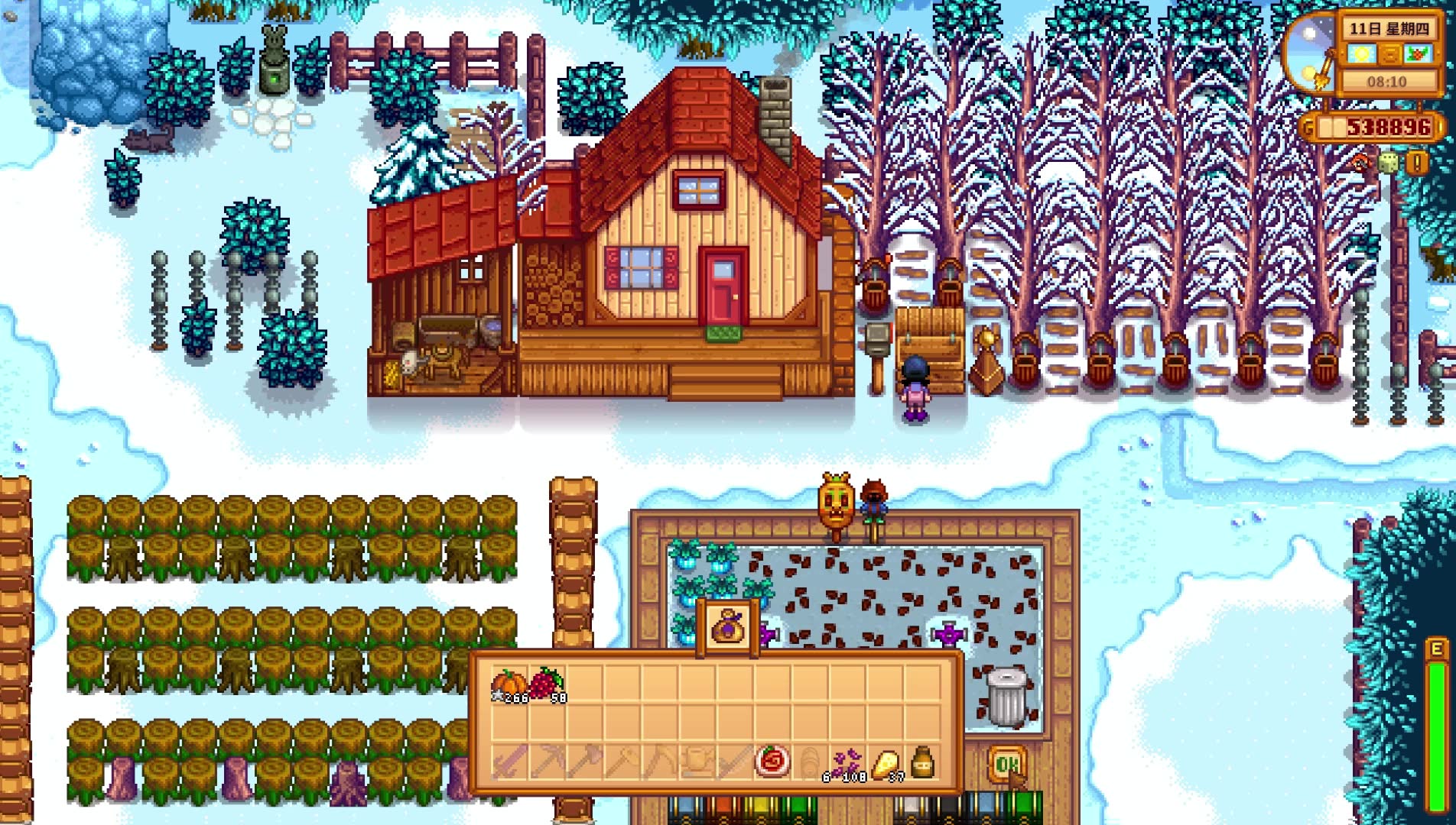 【星露谷物语1.6】冬11