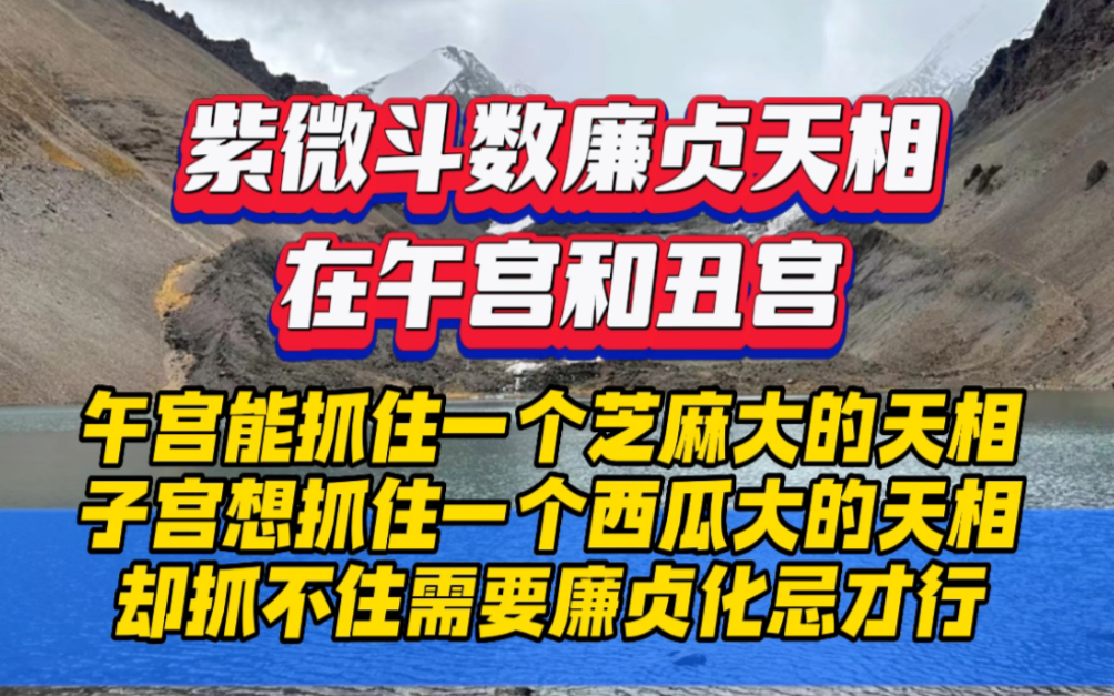 紫微斗数廉贞天相丑宫,天相(旺)+廉贞(陷):抓不住,等到化忌,丙干的时候能够抓住,但是如果有铃星擎羊地劫这些星最好别抓哔哩哔哩bilibili