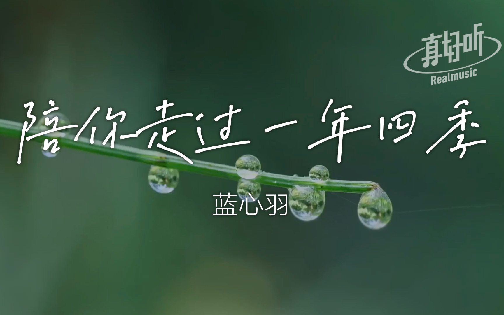 [图]蓝心羽 - 陪你走过一年四季｜完整版 动态歌词LyricsVideo 无损音质