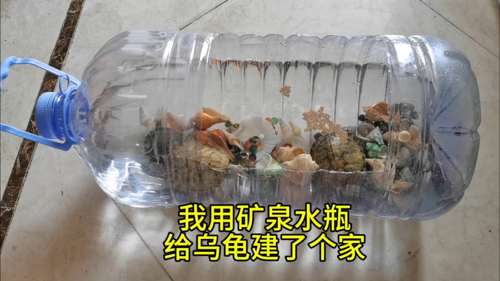 我用矿泉水瓶给乌龟建了个家