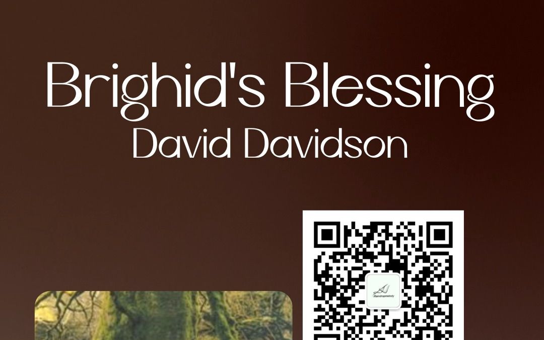 【音乐附谱】David Davidson小提琴曲《Brighid's Blessing》简化版,仿若月半小夜曲的忧伤哔哩哔哩bilibili