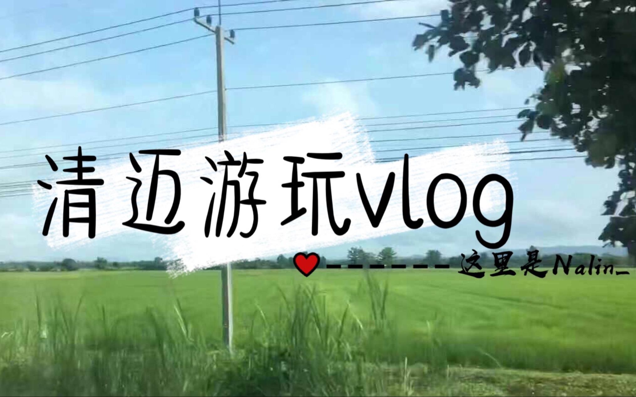 清迈游玩vlog|行前准备|day1逛吃玩买|中文教室F3的小采访~哔哩哔哩bilibili