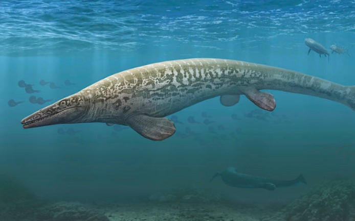 恐龙革命彭比纳海王龙三杀角鳞鲨