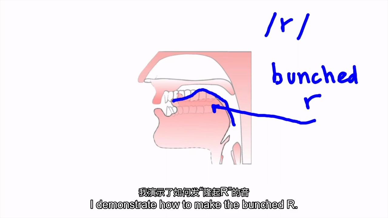 中英字幕原来发美音r有两种方法你用的哪一种retroflexvsbunchedr