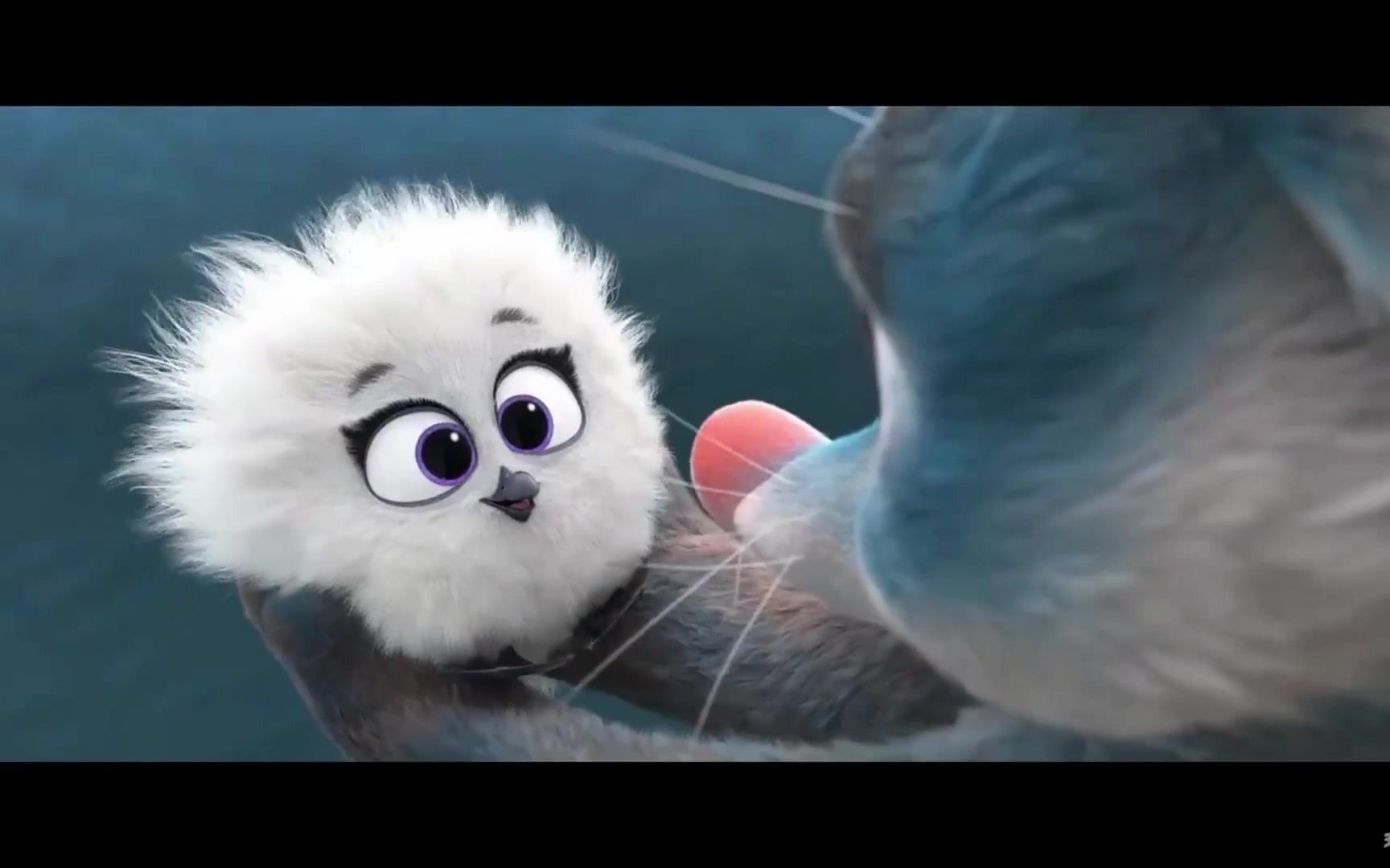 《兔耳袋狸》——"你护我长大,我伴你到老"