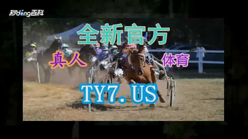 阿米百科探秘:迈博体育app使用教程