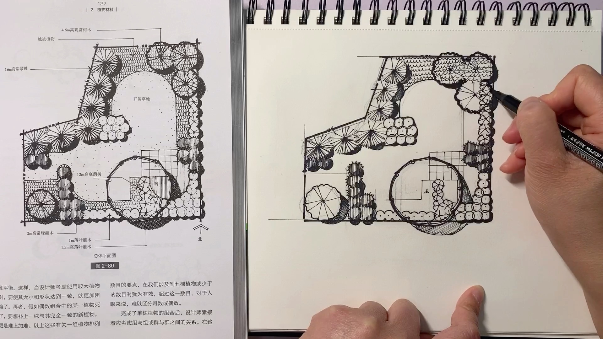 [图]风景园林设计要素 植物平面图