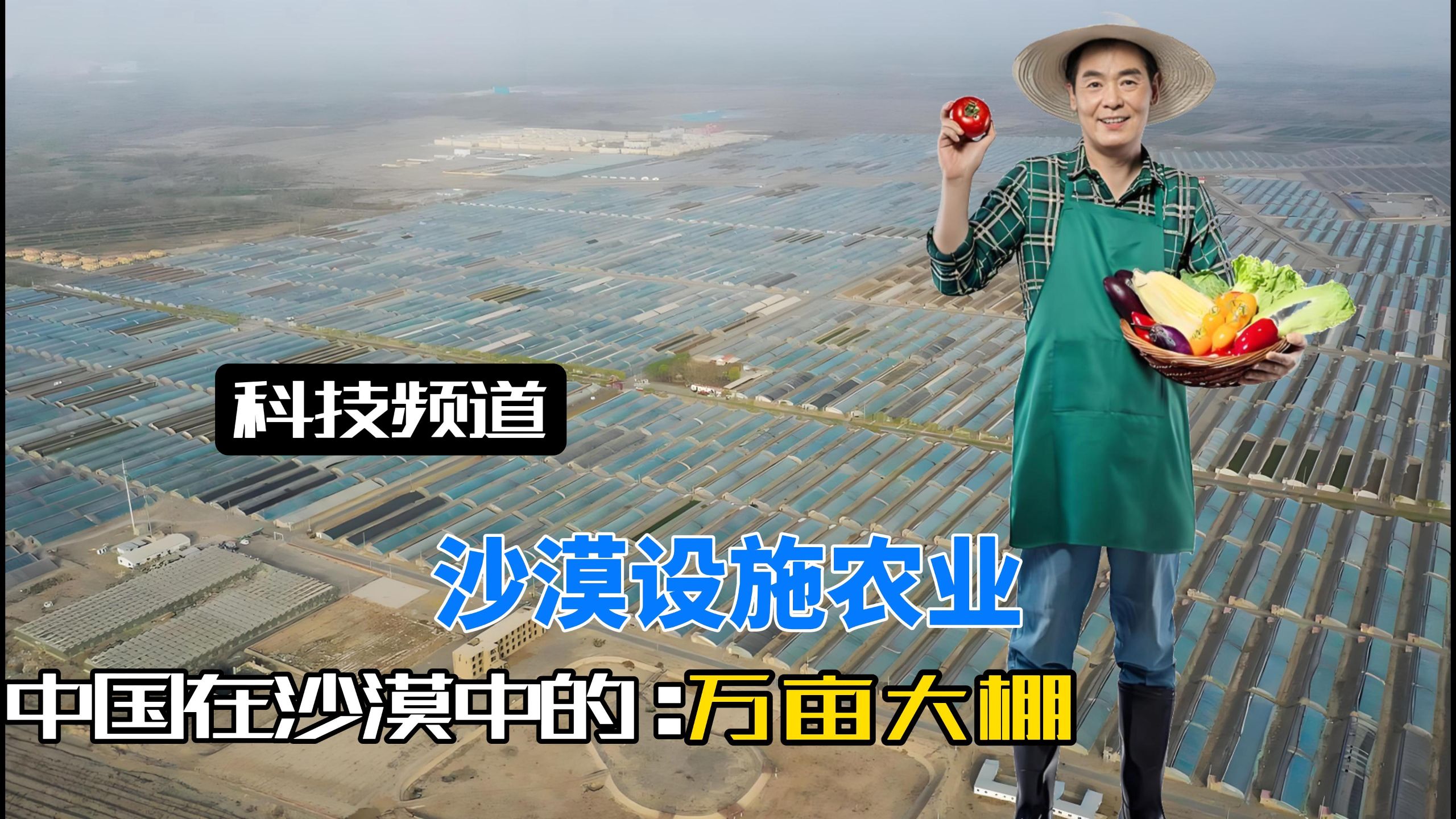 中国在新疆万亩沙海建起1000座农业大棚，外网网友：梦里啥都有！