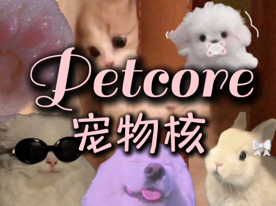 拥抱活泼的动物美学,您的第一只宠物是?丨宠物核丨〔Petcore〕哔哩哔哩bilibili