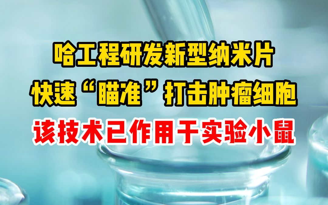 哈工程研发新型纳米片可快速“瞄准”打击肿瘤细胞哔哩哔哩bilibili