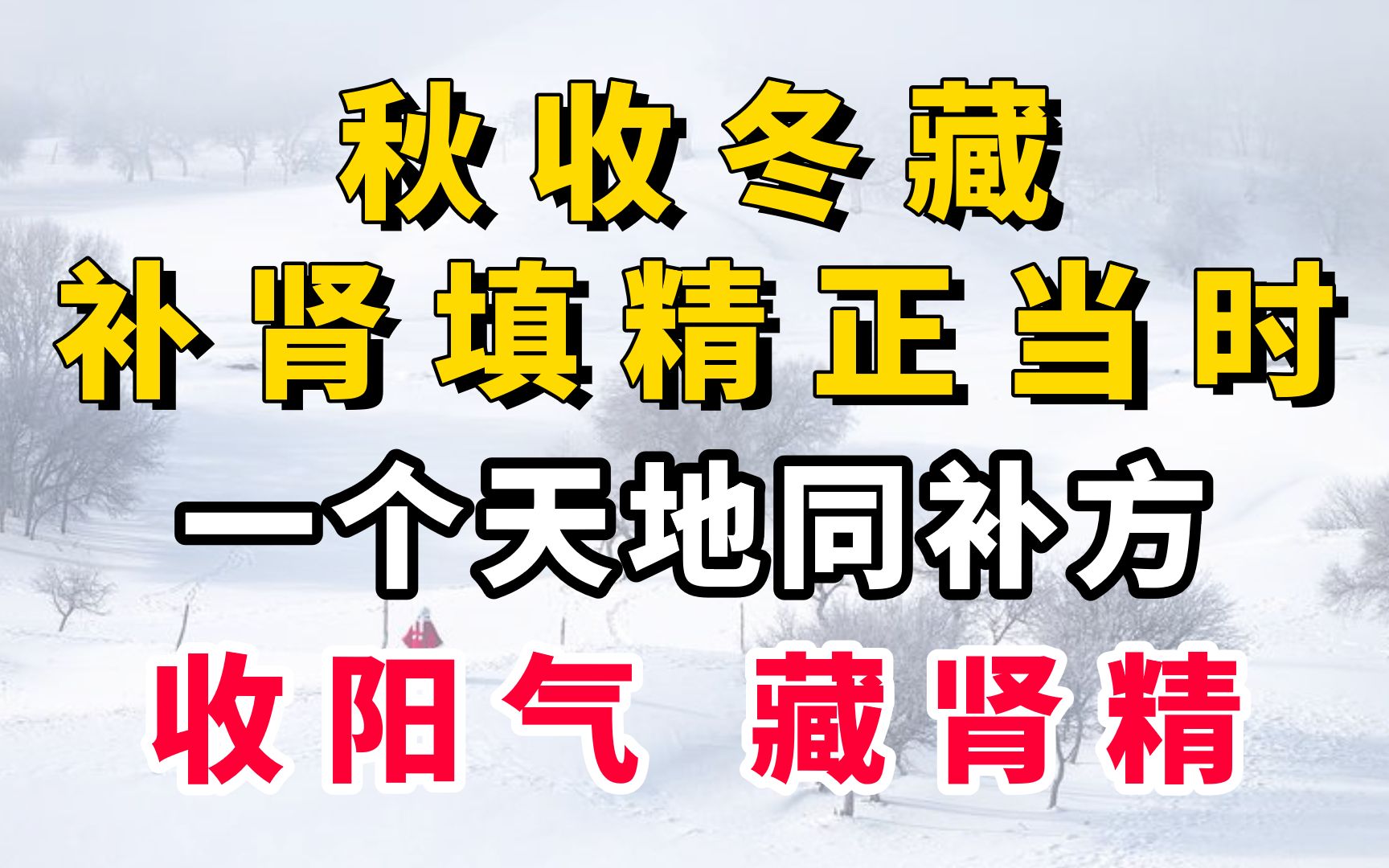 秋收冬藏,补肾填精正当时,一个“天地同补”方,收阳气,藏肾精哔哩哔哩bilibili