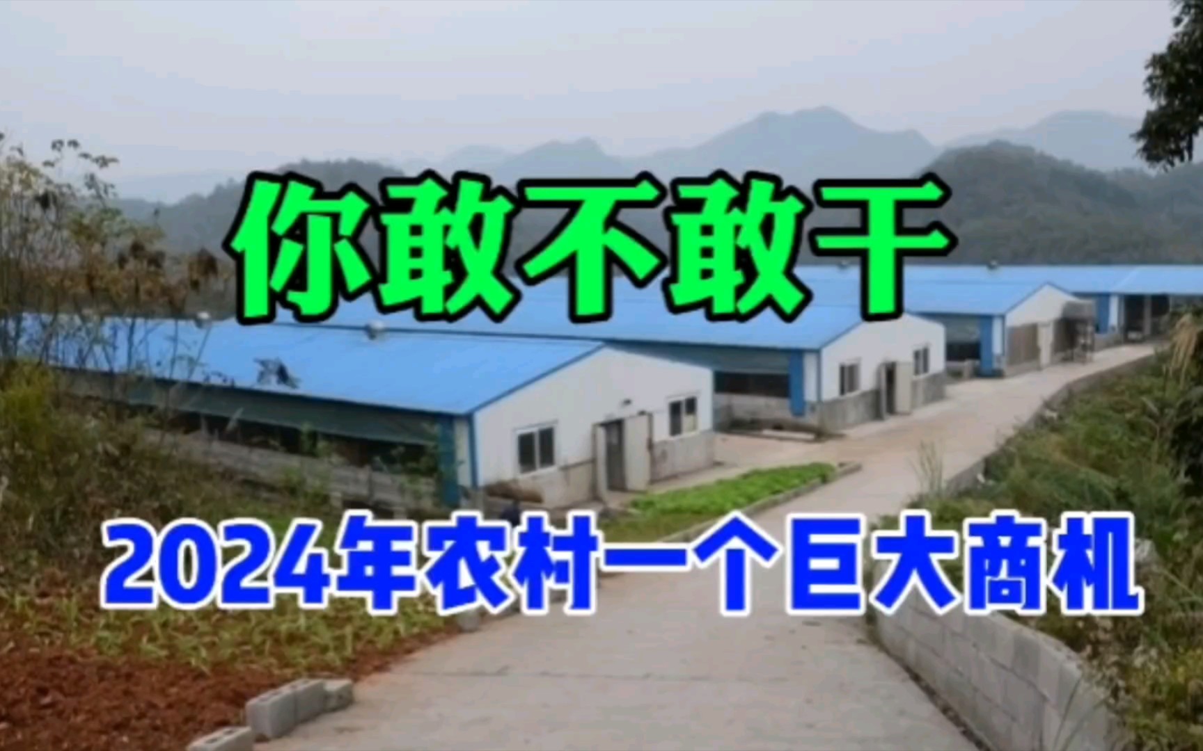 2024年农村赚大钱的“商机”来了,年入百万不是梦,耐心看完哔哩哔哩bilibili