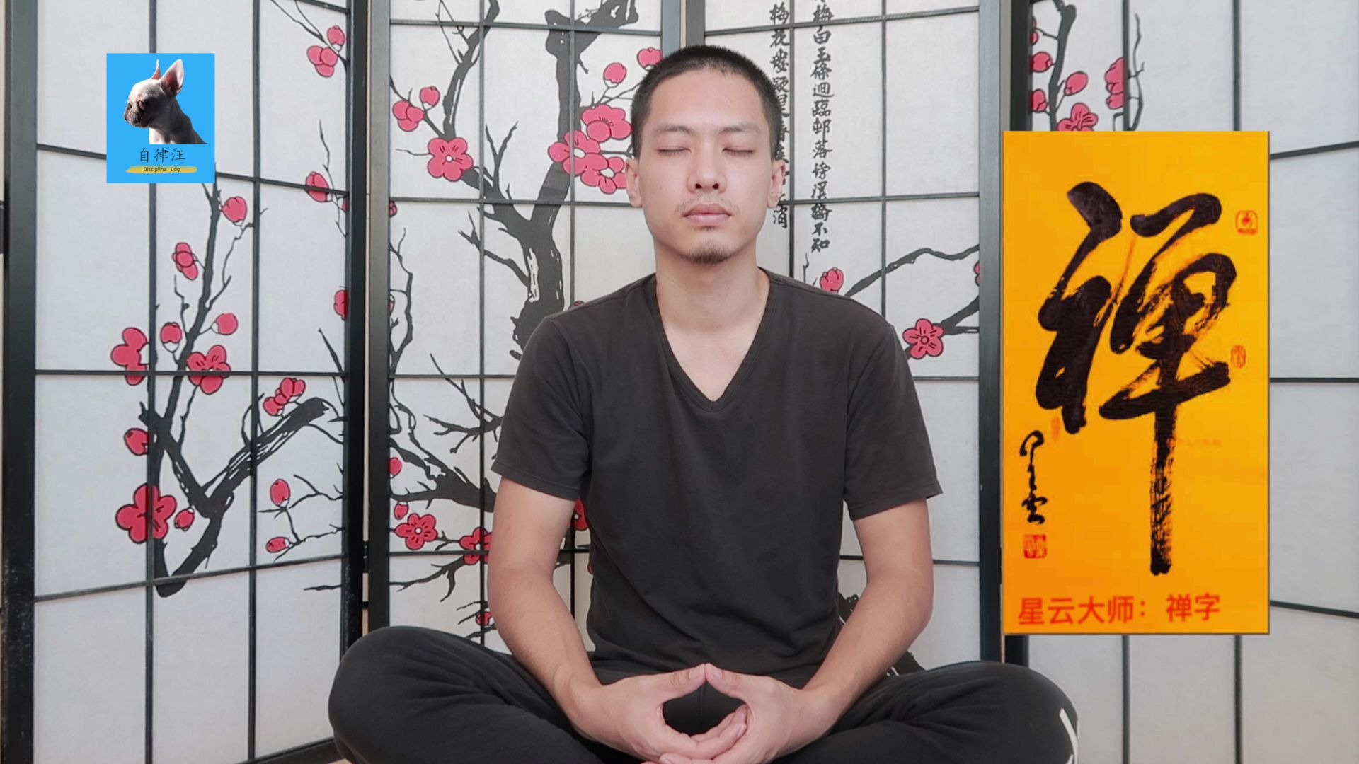 禪修引導meditation-數息與放鬆,15分鐘帶你靜心,止觀,,專注,翻轉念頭