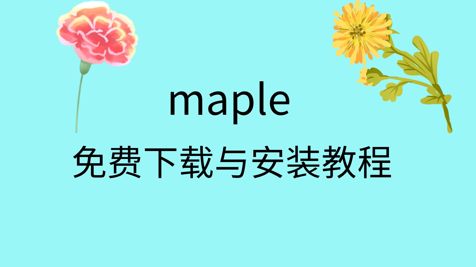 [图]maple安装教程maple下载破解方法maple下载安装包