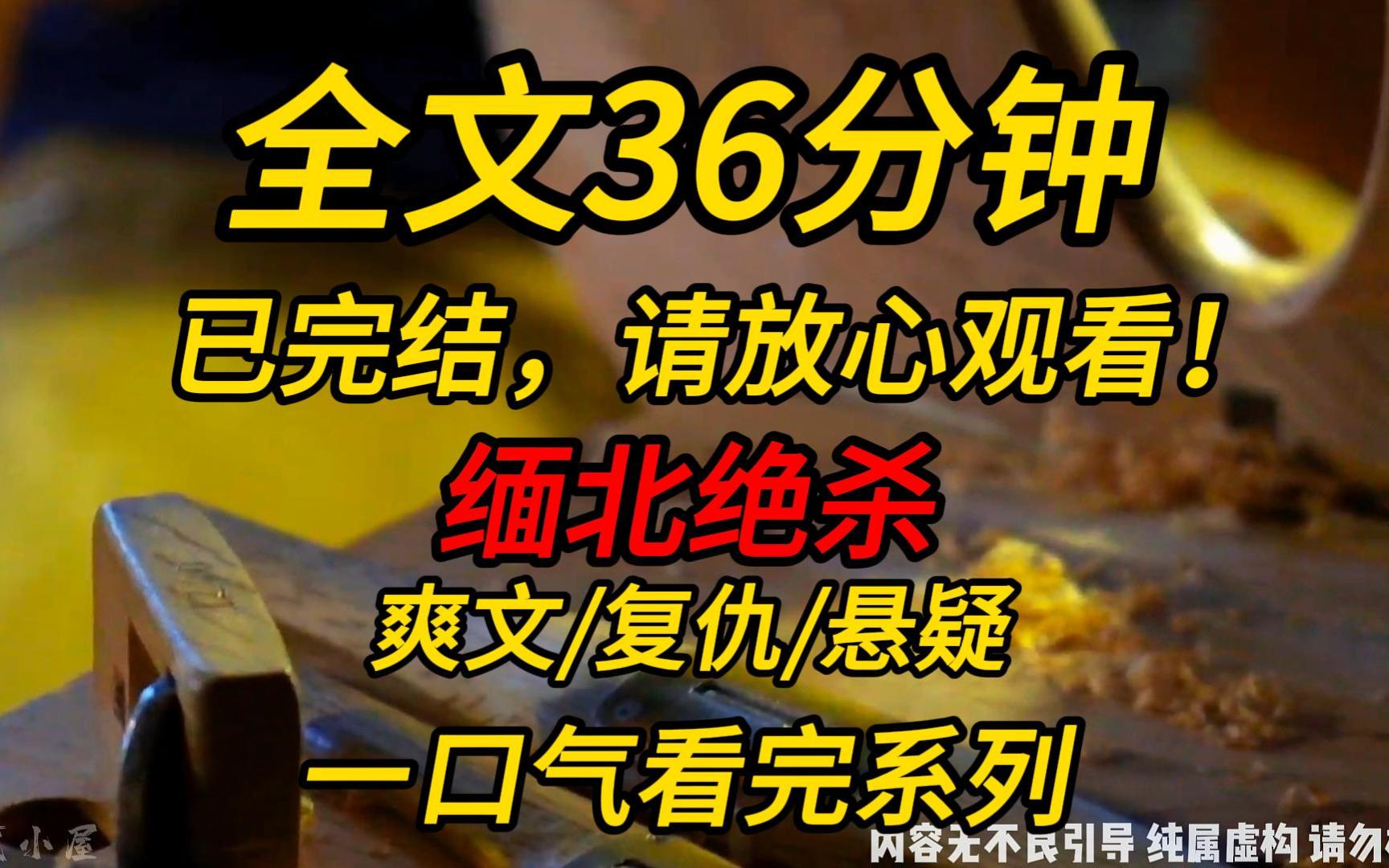 [图]【完结文】缅北绝杀：为了给妹妹报仇，顶级杀手化身小白莲孤身进入缅北园区！！