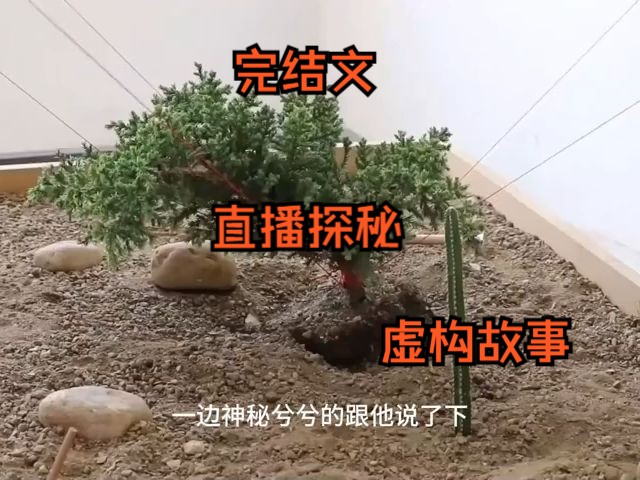 [图]直播探秘