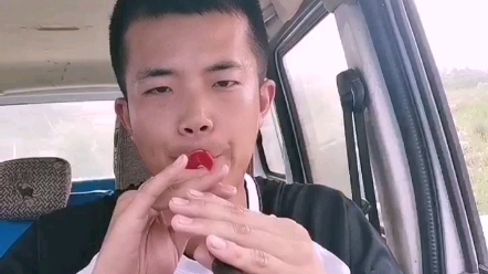 《惊涛落日》唢呐进击版