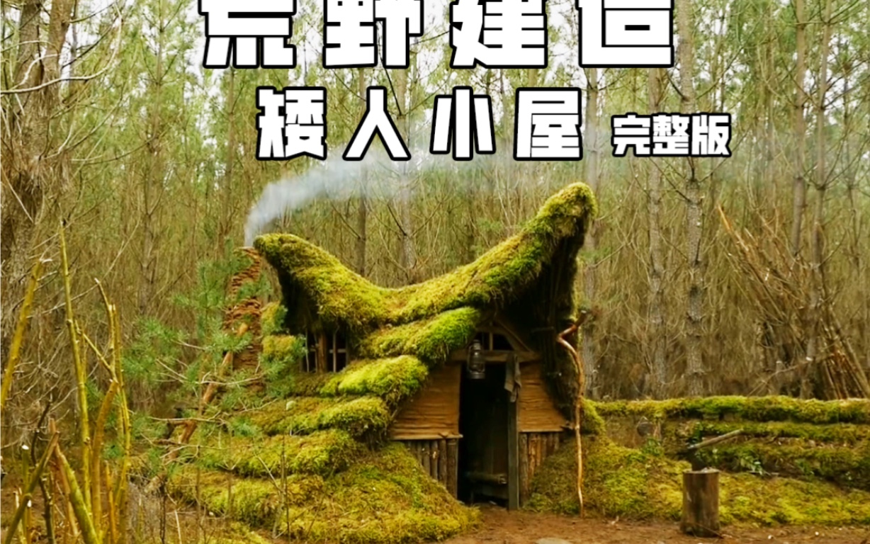 大叔的地精小屋超长哄睡完整版