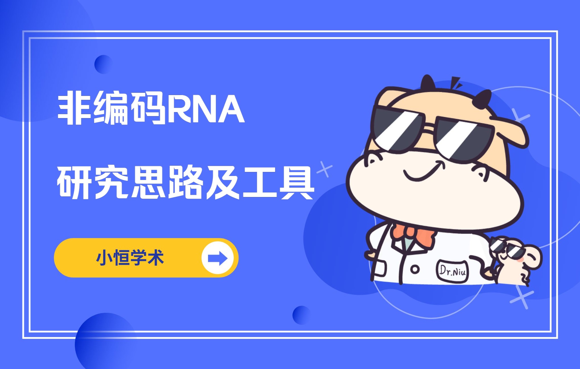 非编码RNA研究思路及研究工具哔哩哔哩bilibili